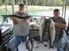 (09/17/2018) - Nice Striped Bass